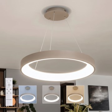 BRILAGI - LED Stmievateľný luster na lane FALCON II LED/99W/230V 3000-6500K priemer 60 cm béžová + diaľkové ovládanie