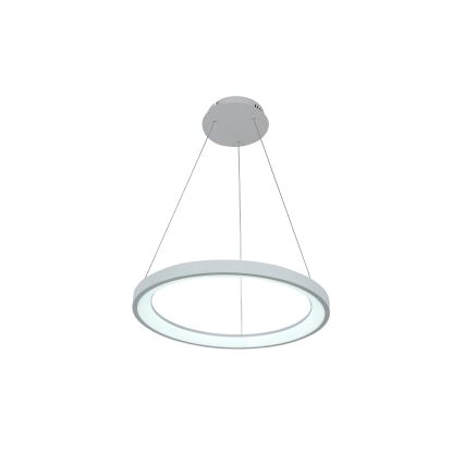 Brilagi - LED stmievateľný luster na lanku FALCON SLIM LED/42W/230V 3000-6500K pr. 50 cm biela + diaľkové ovládanie