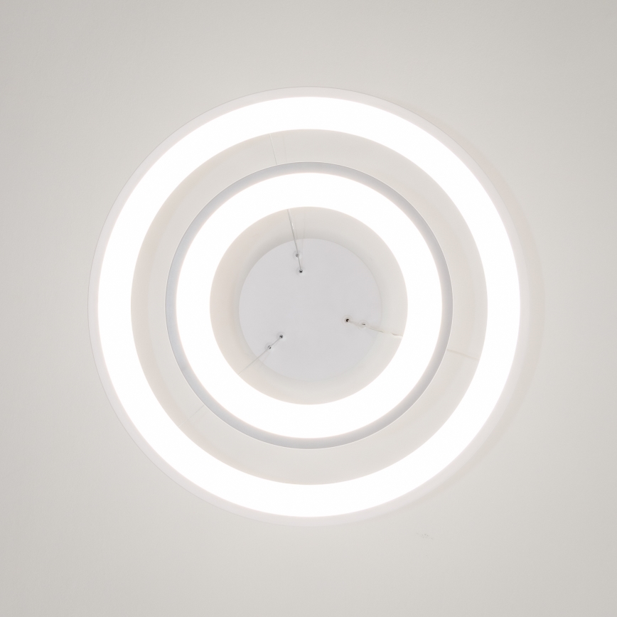 Brilagi - LED stmievateľný luster na lane FALCON SLIM LED/68W/230V 3000-6500K pr. 50 cm biela + diaľkové ovládanie