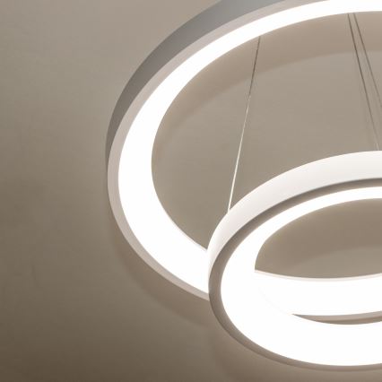 Brilagi - LED stmievateľný luster na lane FALCON SLIM LED/68W/230V 3000-6500K pr. 50 cm biela + diaľkové ovládanie