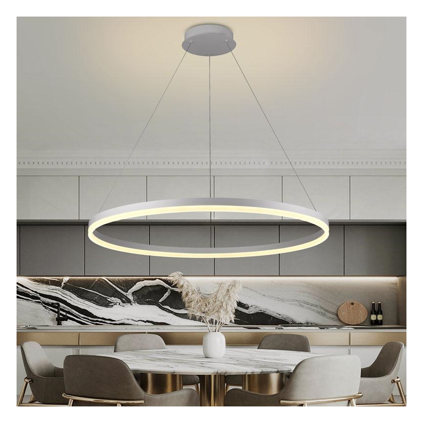 Brilagi - LED stmievateľný luster na lane CIRCLE LED/55W/230V 3000-6500K priemer 80 cm biela + diaľkové ovládanie
