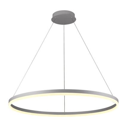 Brilagi - LED stmievateľný luster na lane CIRCLE LED/55W/230V 3000-6500K priemer 80 cm biela + diaľkové ovládanie