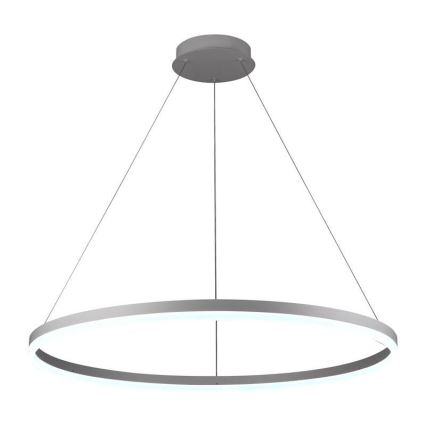 Brilagi - LED stmievateľný luster na lane CIRCLE LED/55W/230V 3000-6500K priemer 80 cm biela + diaľkové ovládanie