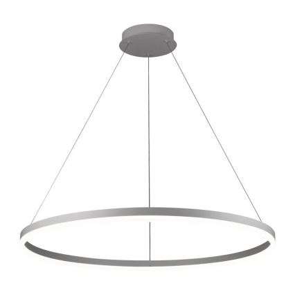 Brilagi - LED stmievateľný luster na lane CIRCLE LED/55W/230V 3000-6500K priemer 80 cm biela + diaľkové ovládanie