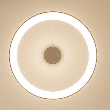 BRILAGI - LED stmievateľný luster na lanku FALCON II LED/108W/230V 3000-6500K pr. 80 cm béžový + diaľkové ovládanie