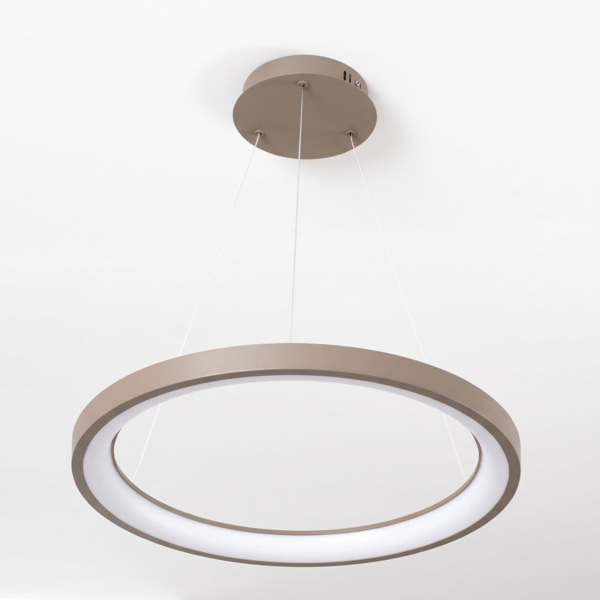 BRILAGI - LED Stmievateľný luster na lanku FALCON SLIM LED/42W/230V 3000-6500K pr. 50 cm béžová + diaľkové ovládanie