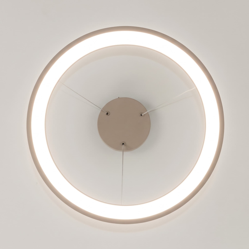 BRILAGI - LED Stmievateľný luster na lanku FALCON SLIM LED/42W/230V 3000-6500K pr. 50 cm béžová + diaľkové ovládanie