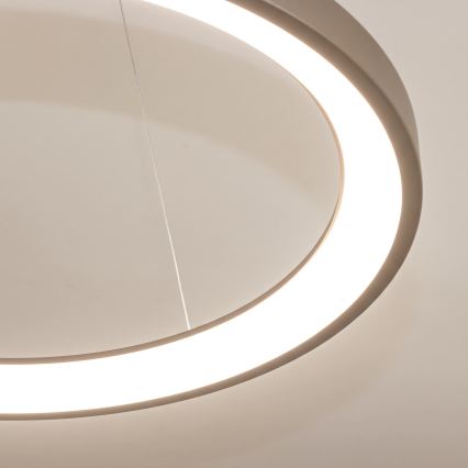 BRILAGI - LED Stmievateľný luster na lanku FALCON SLIM LED/42W/230V 3000-6500K pr. 50 cm béžová + diaľkové ovládanie