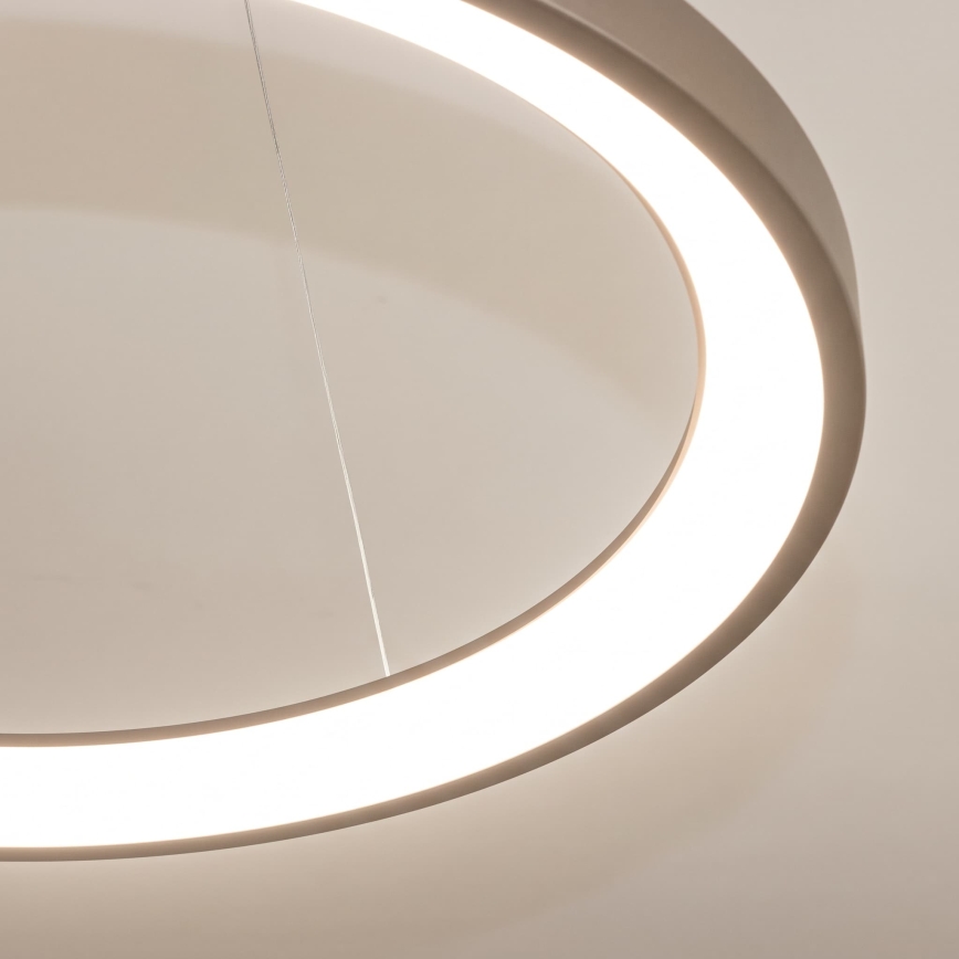 BRILAGI - LED Stmievateľný luster na lanku FALCON SLIM LED/42W/230V 3000-6500K pr. 50 cm béžová + diaľkové ovládanie