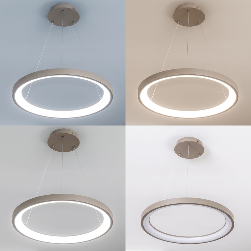 BRILAGI - LED Stmievateľný luster na lanku FALCON SLIM LED/42W/230V 3000-6500K pr. 50 cm béžová + diaľkové ovládanie