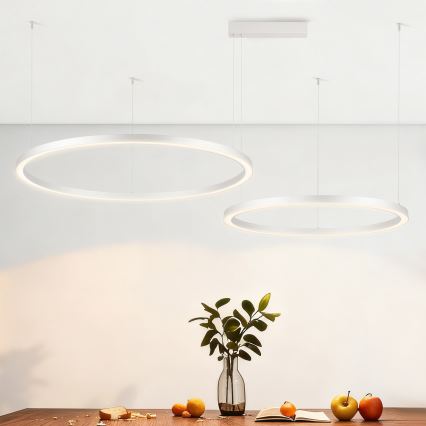 Brilagi - LED stmievateľný luster na lane PORTOFINO LED/98W/230V 3000-6000K strieborný + diaľkové ovládanie