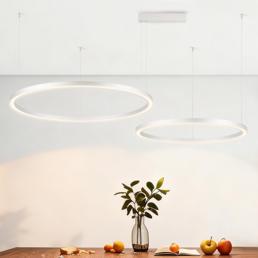 Brilagi - LED stmievateľný luster na lane PORTOFINO LED/98W/230V 3000-6000K strieborný + diaľkové ovládanie