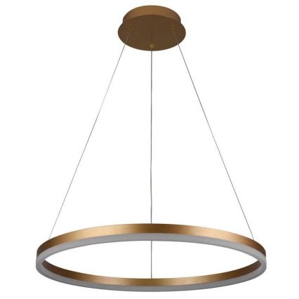 Brilagi - LED Stmievateľný luster na lanku CIRCLE LED/42W/230V 3000-6500K + diaľkové ovládanie