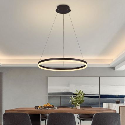 Brilagi - CIRCLE stmievateľný LED závesný luster na lanku, 42 W, 230 V, 3000-6500 K, pr. 60 cm, hnedý + diaľkové ovládanie