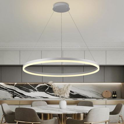Brilagi - LED stmievateľný závesný luster na lanku CIRCLE LED/55W/230V 3000-6500K + diaľkové ovládanie