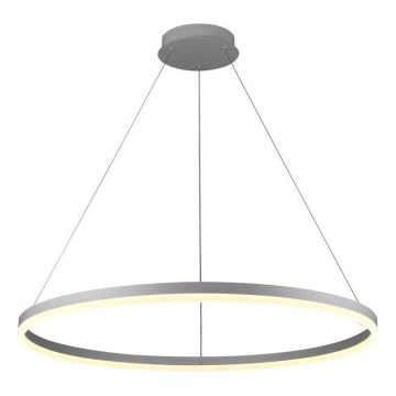 Brilagi - LED stmievateľný luster na lanku CIRCLE LED/55W/230V 3000-6500K priemer 80 cm strieborný + diaľkové ovládanie