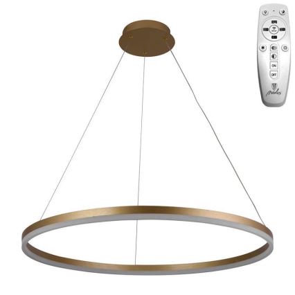 Brilagi - LED Stmievateľný luster na lanku CIRCLE LED/55W/230V 3000-6500K zlatá + diaľkové ovládanie