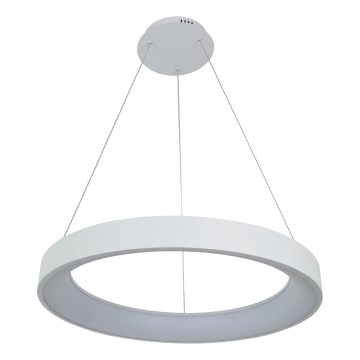 Brilagi - LED stmievateľný luster na lanku FALCON II LED/99W/230V 3000-6500K pr. 60 cm biela + diaľkové ovládanie