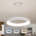 Brilagi - LED stmievateľný luster na lanku FALCON II LED/99W/230V 3000–6500K priemer 60 cm biela + diaľkové ovládanie
