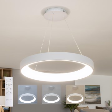 Brilagi - LED stmievateľný luster na lanku FALCON II LED/99W/230V 3000–6500K priemer 60 cm biela + diaľkové ovládanie