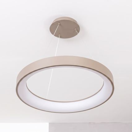 BRILAGI - LED Stmievateľný luster na lane FALCON II LED/99W/230V 3000-6500K priemer 60 cm béžová + diaľkové ovládanie