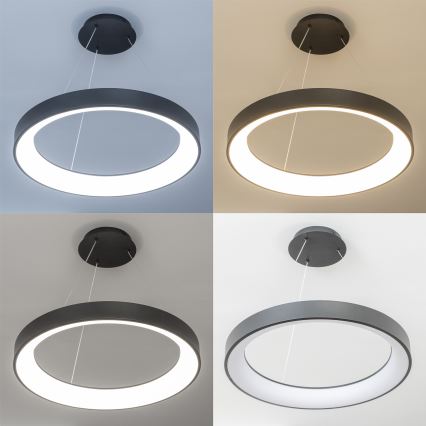 Brilagi - LED stmievateľný luster na lanku FALCON II LED/99W/230V 3000-6500K pr. 60 cm čierny + diaľkové ovládanie