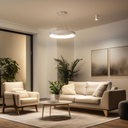 BRILAGI - LED stmievateľný luster na lankách FALCON II LED/99W/230V 3000-6500K pr. 60 cm biela + diaľkové ovládanie