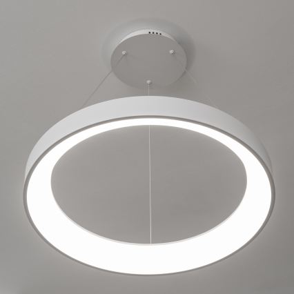 BRILAGI - LED stmievateľný luster na lankách FALCON II LED/99W/230V 3000-6500K pr. 60 cm biela + diaľkové ovládanie