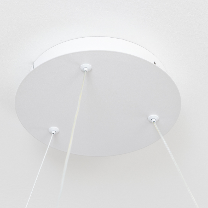 BRILAGI - LED stmievateľný luster na lankách FALCON II LED/99W/230V 3000-6500K pr. 60 cm biela + diaľkové ovládanie