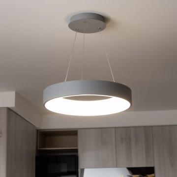 Brilagi - LED stmievateľný luster na lanku FALCON LED/80W/230V 3000-6500K priemer 60 cm sivá + diaľkové ovládanie
