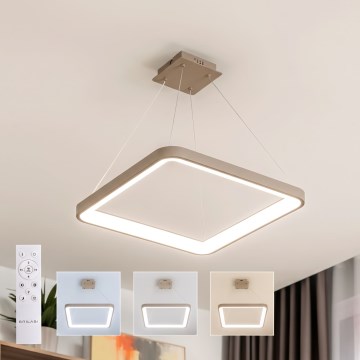 BRILAGI - LED Stmievateľný luster na lanku FALCON SLIM LED/50W/230V 3000-6500K 50x50 cm béžová + diaľkové ovládanie