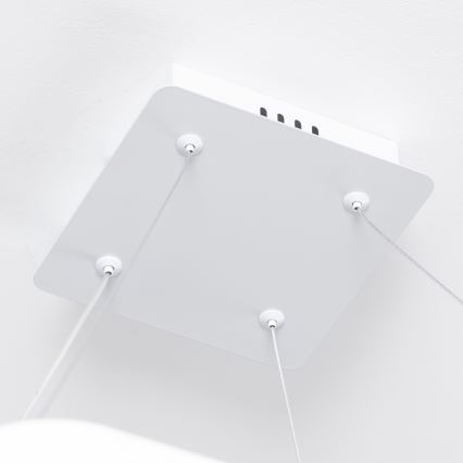 Brilagi - LED stmievateľný závesný luster na lankách FALCON SLIM LED/50W/230V 3000-6500K 50x50 cm biela + diaľkové ovládanie