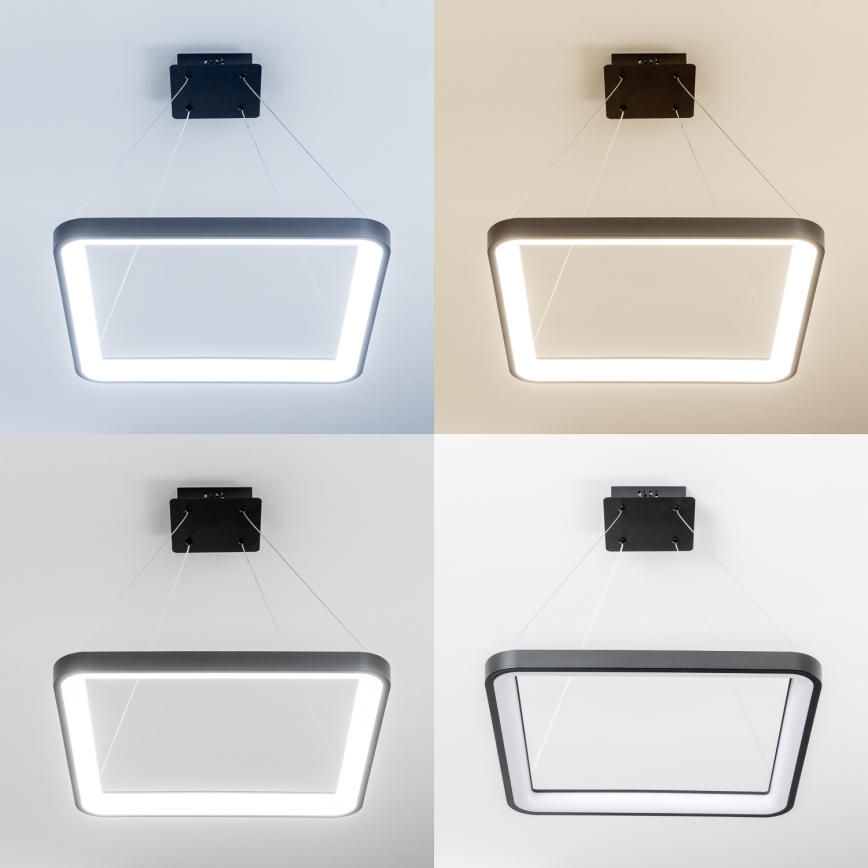 Brilagi - LED stmievateľný závesný luster FALCON SLIM LED/50W/230V 3000-6500K 50x50 cm čierny + diaľkové ovládanie