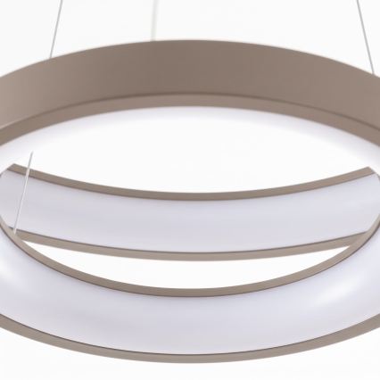 BRILAGI - stmievateľný LED luster na lankách FALCON SLIM LED/68W/230V 3000-6500K pr. 50 cm béžová + diaľkové ovládanie