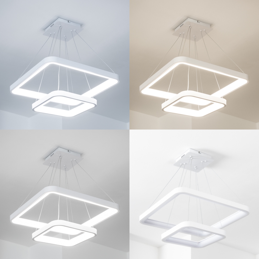 Brilagi - LED stmievateľný luster na lane FALCON SLIM LED/78W/230V 3000-6500K 50x50 cm biely + diaľkové ovládanie