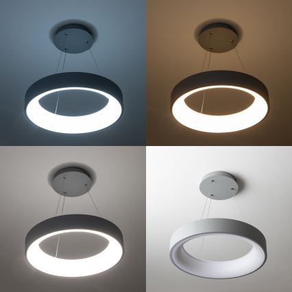 Brilagi - LED stmievateľný luster na lanku FALCON LED/40W/230V 3000-6500K pr. 45 cm sivá + diaľkové ovládanie