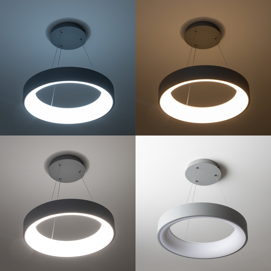 Brilagi - LED stmievateľný luster na lanku FALCON LED/40W/230V 3000-6500K pr. 45 cm sivá + diaľkové ovládanie