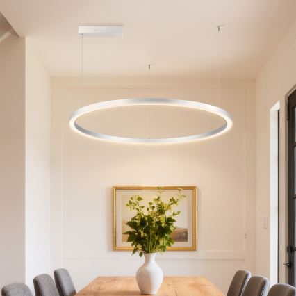 Brilagi - LED stmievateľný luster na lane PORTOFINO LED/60W/230V 3000-6000K pr. 80 cm strieborná + diaľkové ovládanie