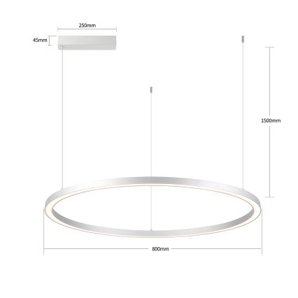 Brilagi - LED stmievateľný luster na lane PORTOFINO LED/60W/230V 3000-6000K pr. 80 cm strieborná + diaľkové ovládanie