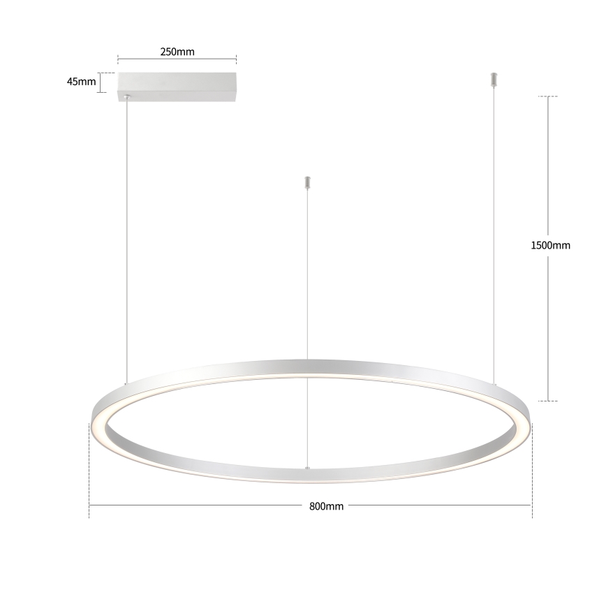 Brilagi - LED stmievateľný luster na lane PORTOFINO LED/60W/230V 3000-6000K pr. 80 cm strieborná + diaľkové ovládanie