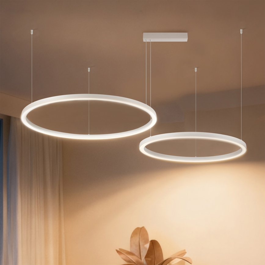 Brilagi - LED stmievateľný luster na lane PORTOFINO LED/98W/230V 3000-6000K biela + diaľkové ovládanie