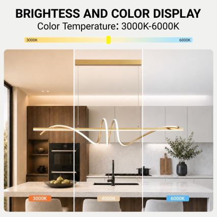 BRILAGI - LED stmievateľný luster na lane SIGNATURE LED/50W/230V 3000-6000K 120 cm zlatý + diaľkové ovládanie