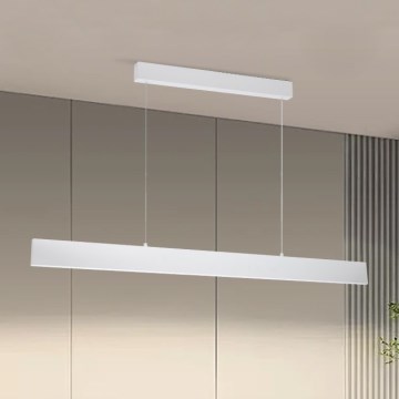 Brilagi - LED Stmievateľný luster na lanku SLIMLINE LED/40W/230V 3000-6000K biela + diaľkové ovládanie