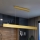 Brilagi - LED Stmievateľný luster na lanku SLIMLINE LED/40W/230V 3000-6000K zlatá + diaľkové ovládanie