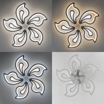 Brilagi - LED Stmievateľný prisadený luster TWIST LED/125W/230V 3000-6500K + diaľkové ovládanie