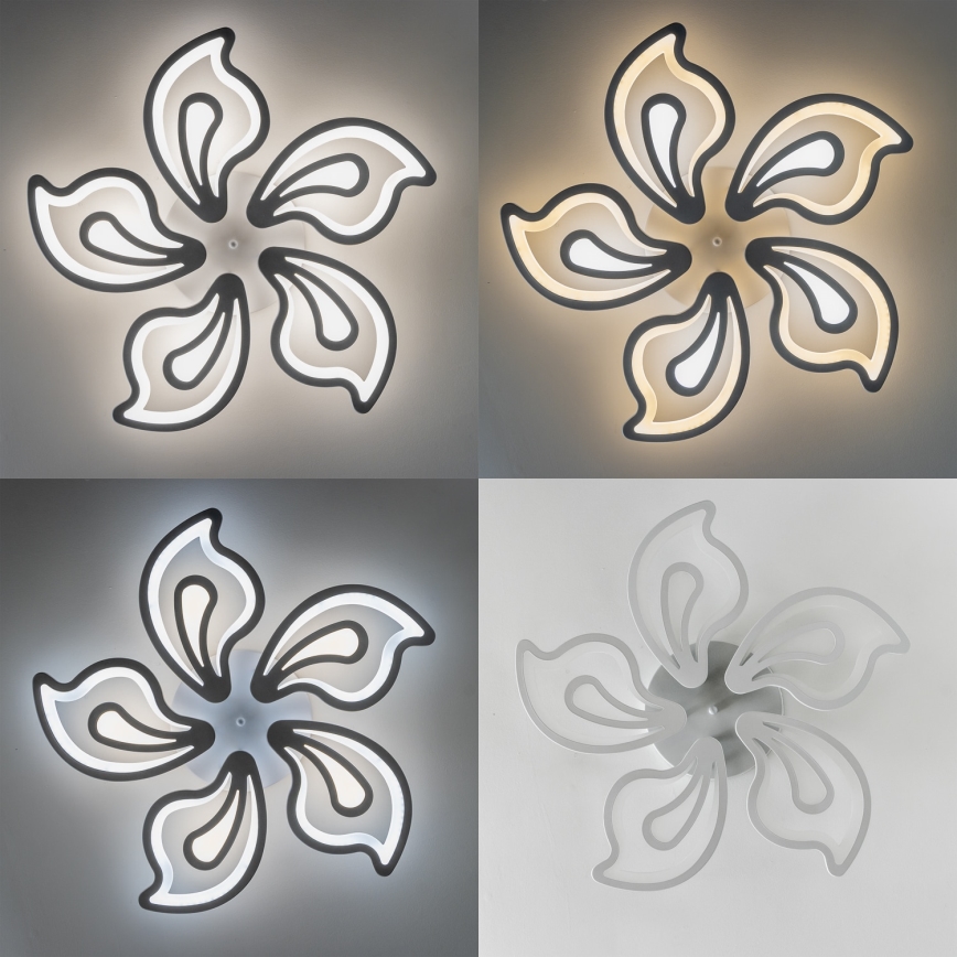 Brilagi - LED Stmievateľný prisadený luster TWIST LED/125W/230V 3000-6500K + diaľkové ovládanie