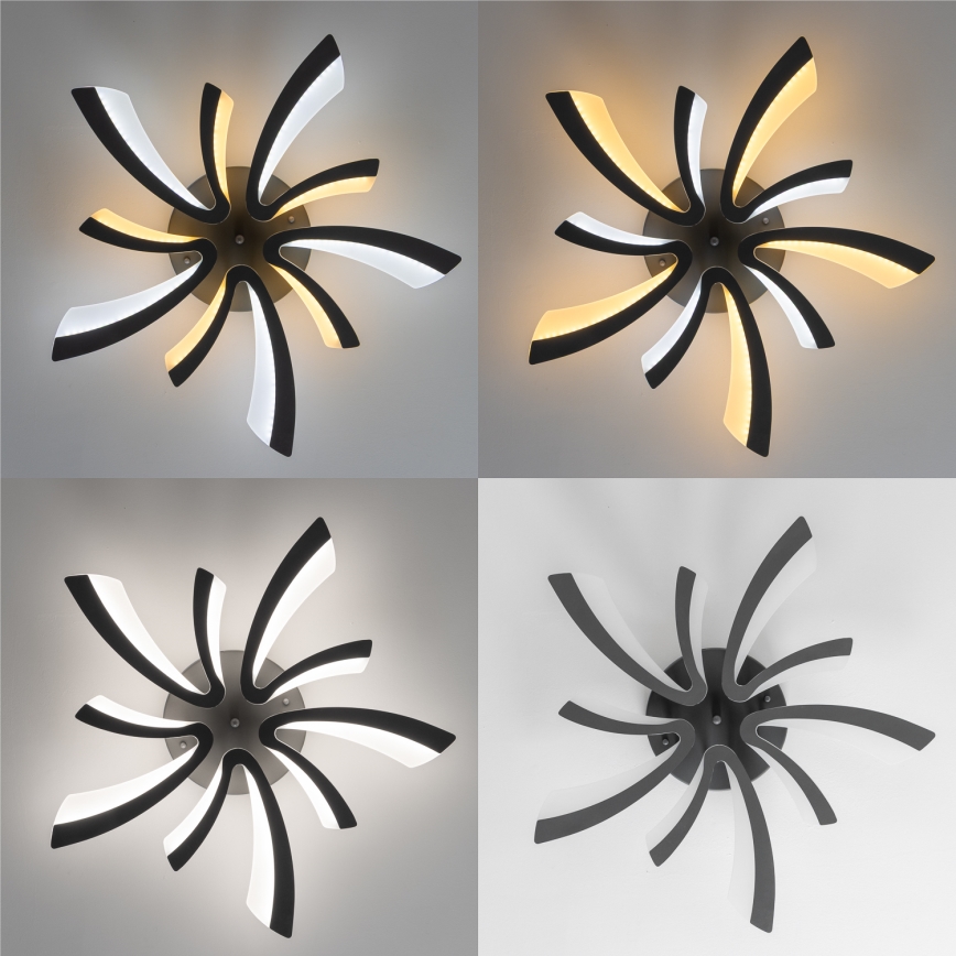 Brilagi - LED Stmievateľný prisadený luster TWIST LED/55W/230V 3000-6500K antracit + diaľkové ovládanie