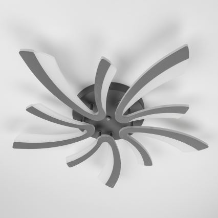 Brilagi - LED Stmievateľný prisadený luster TWIST LED/55W/230V 3000-6500K antracit + diaľkové ovládanie