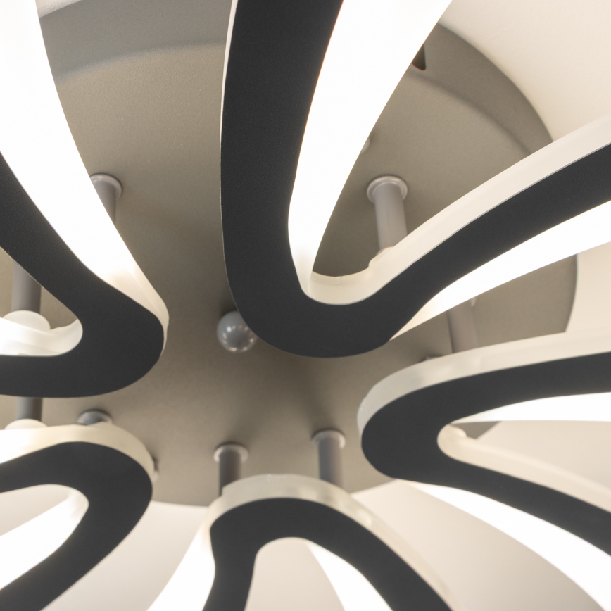 Brilagi - LED Stmievateľný prisadený luster TWIST LED/55W/230V 3000-6500K antracit + diaľkové ovládanie