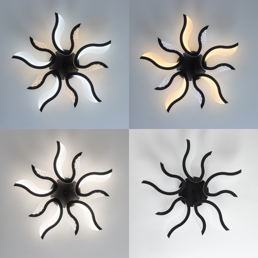 Brilagi - LED Stmievateľný prisadený luster TWIST LED/65W/230V 3000-6500K čierna + diaľkové ovládanie